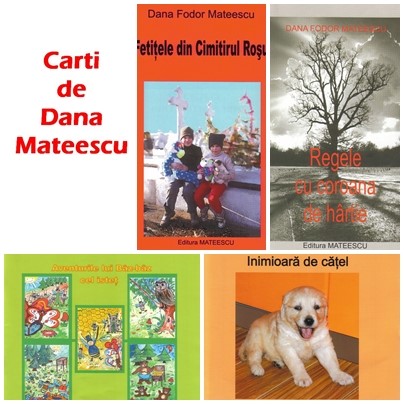 Carti scrise de Dana Mateescu