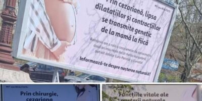 panouri nastere